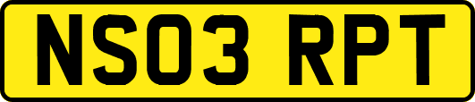 NS03RPT