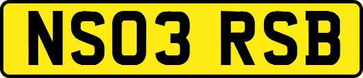 NS03RSB