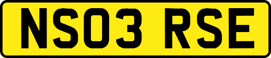 NS03RSE