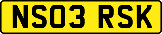 NS03RSK