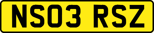NS03RSZ
