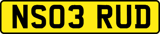 NS03RUD