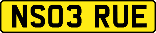NS03RUE