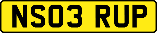 NS03RUP