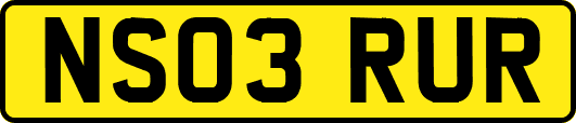 NS03RUR