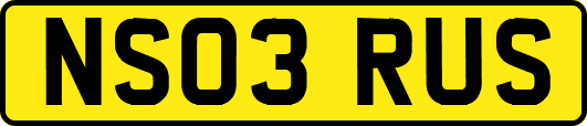 NS03RUS