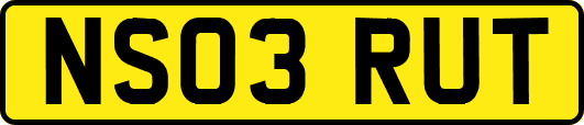 NS03RUT