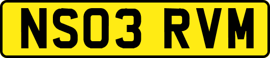 NS03RVM