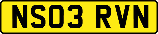 NS03RVN