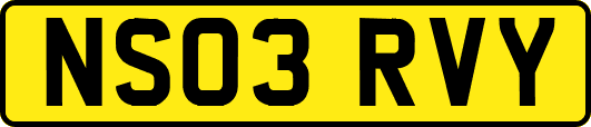 NS03RVY