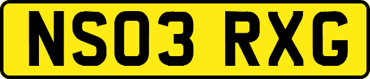 NS03RXG