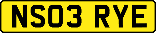 NS03RYE