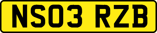 NS03RZB