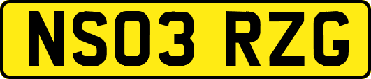 NS03RZG