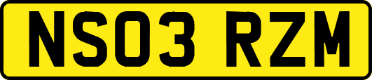 NS03RZM