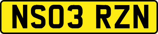 NS03RZN