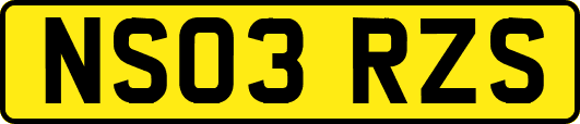 NS03RZS