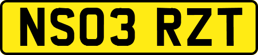 NS03RZT