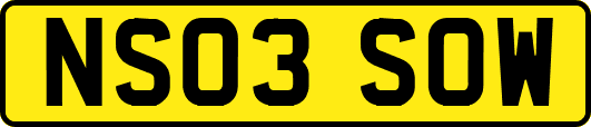 NS03SOW
