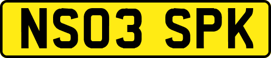 NS03SPK