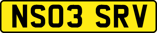 NS03SRV