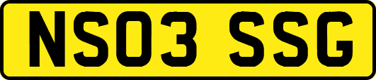 NS03SSG