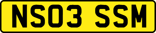 NS03SSM