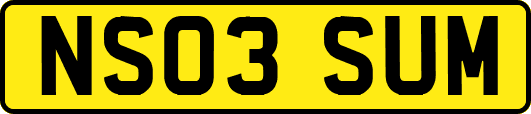 NS03SUM