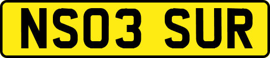 NS03SUR