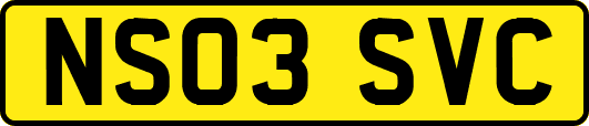NS03SVC