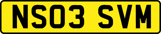 NS03SVM