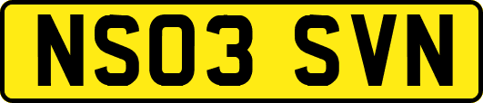 NS03SVN