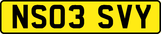 NS03SVY