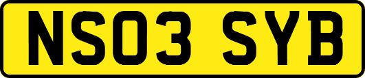 NS03SYB