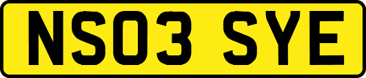 NS03SYE