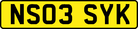 NS03SYK