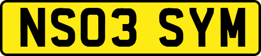 NS03SYM