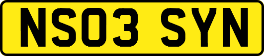 NS03SYN