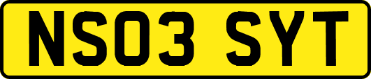 NS03SYT