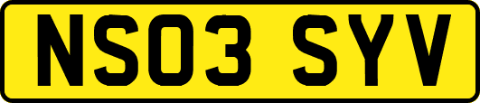 NS03SYV