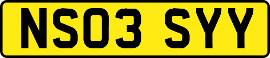 NS03SYY