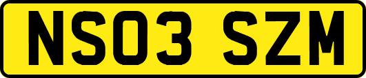 NS03SZM