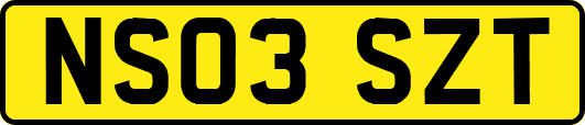 NS03SZT