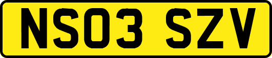 NS03SZV