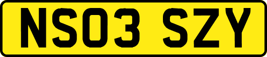 NS03SZY