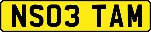 NS03TAM