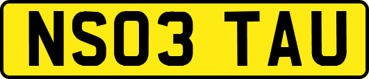 NS03TAU