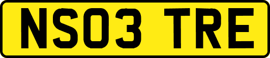 NS03TRE