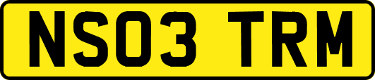 NS03TRM