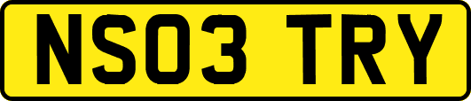 NS03TRY